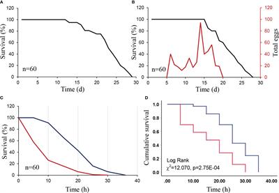 Nicotiana tabacum as a dead-end trap for adult Diaphorina citri: A potential biological tactic for protecting citrus orchards